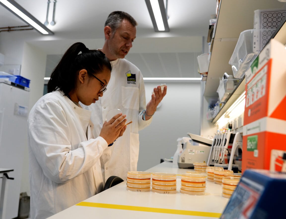 Two scientists in a laboratory wearing white lab coats and examining agar plates