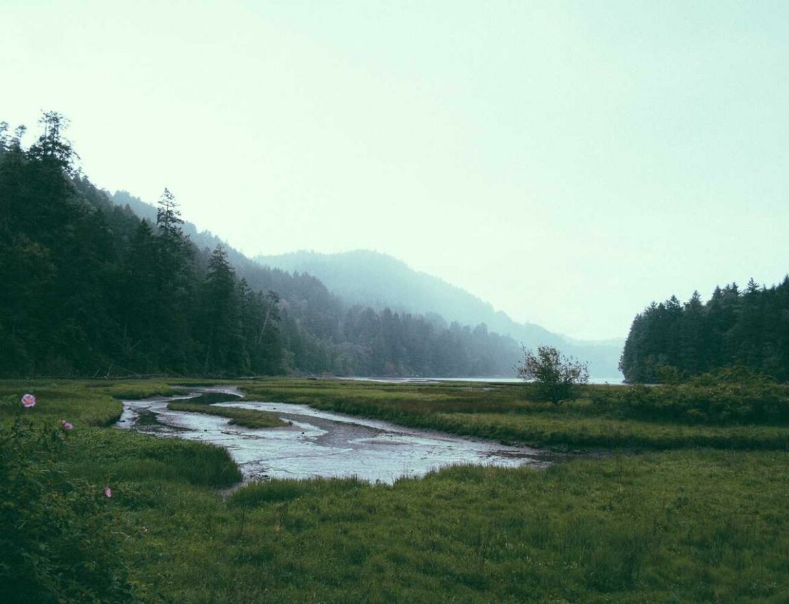 A green grassy field with a body of water at its centre and a dark forest and hills in the background