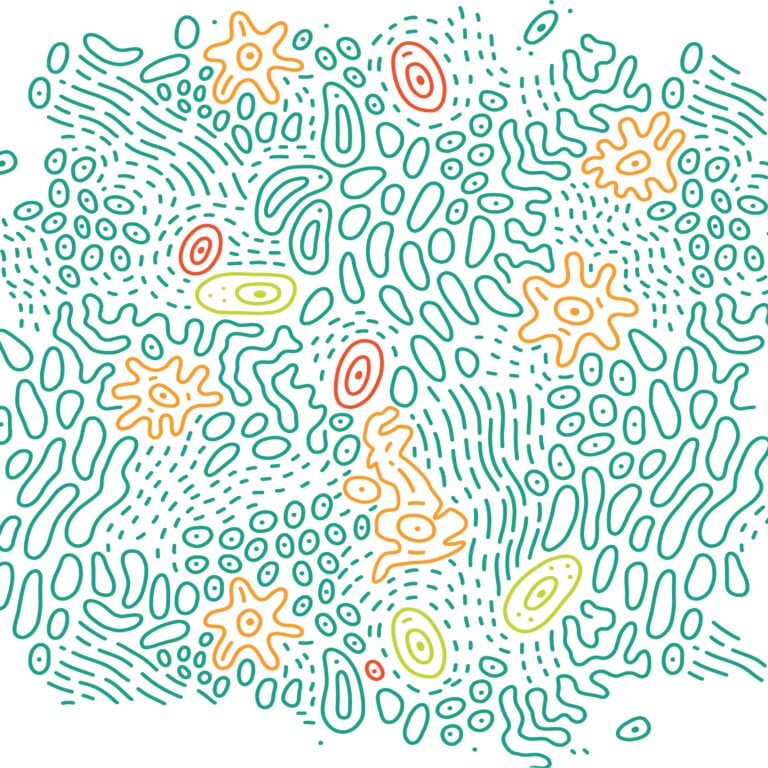 Food Safety Research Network logo and graphic