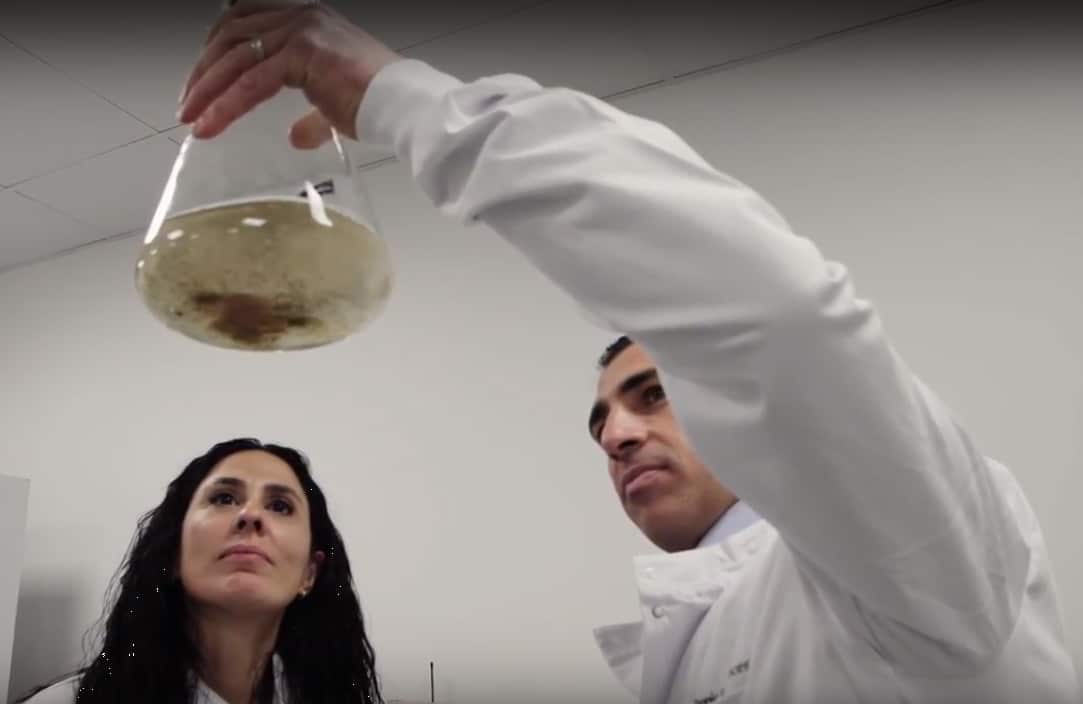 Two people in white lab coats examining a raised conical flask filled with a yellow-grey liquid