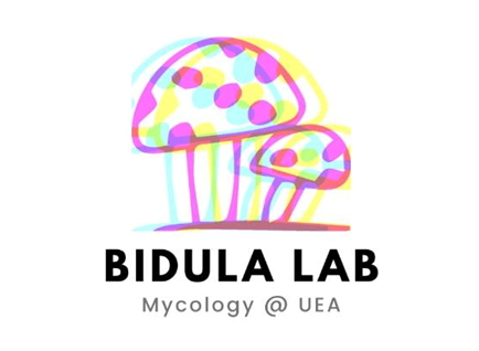 Logo for the Bidula Lab showing colourful mushroom cartoons and Mycology at UEA text