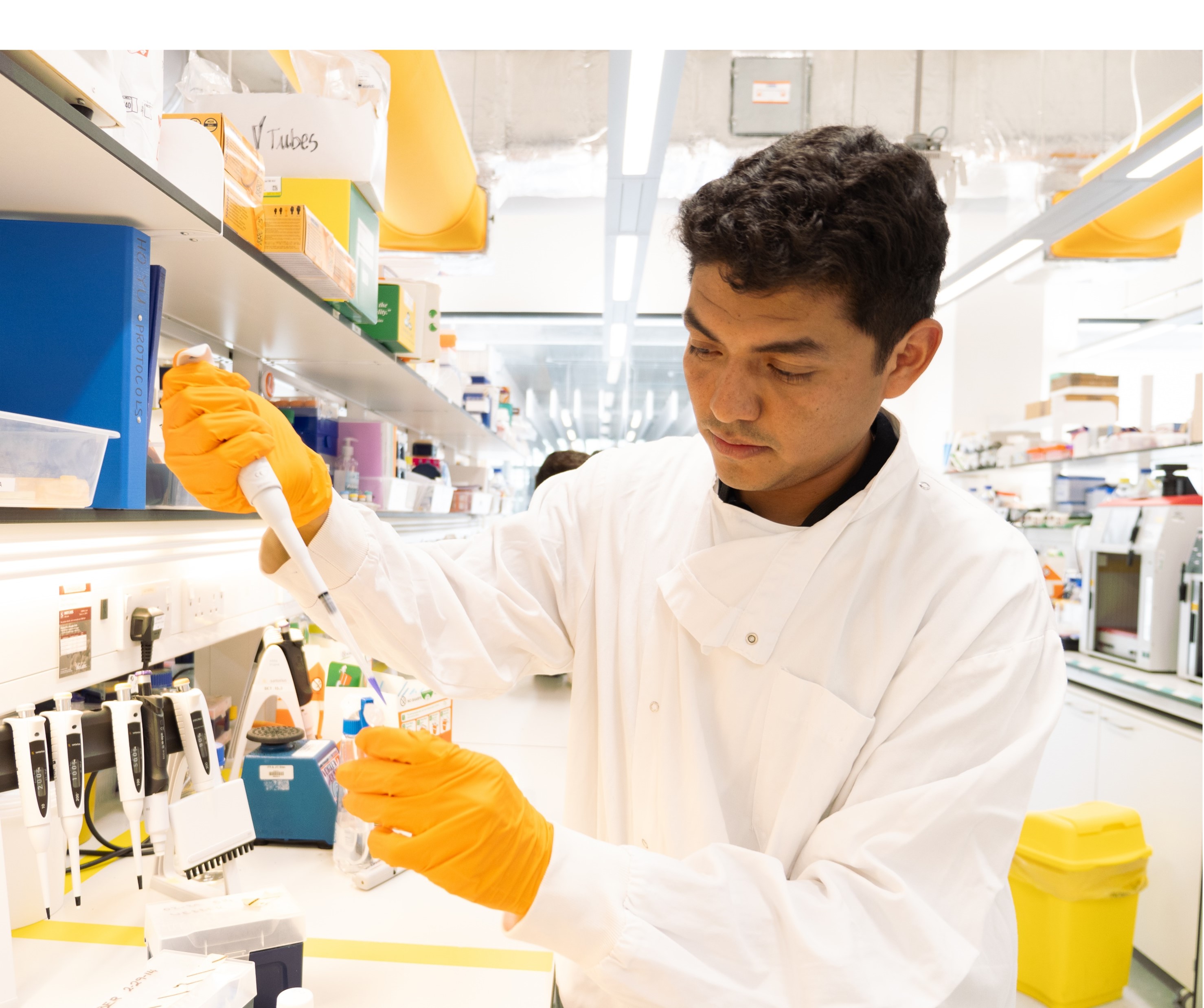A scientist working at a bench in a laboratory and wearing a white lab coat