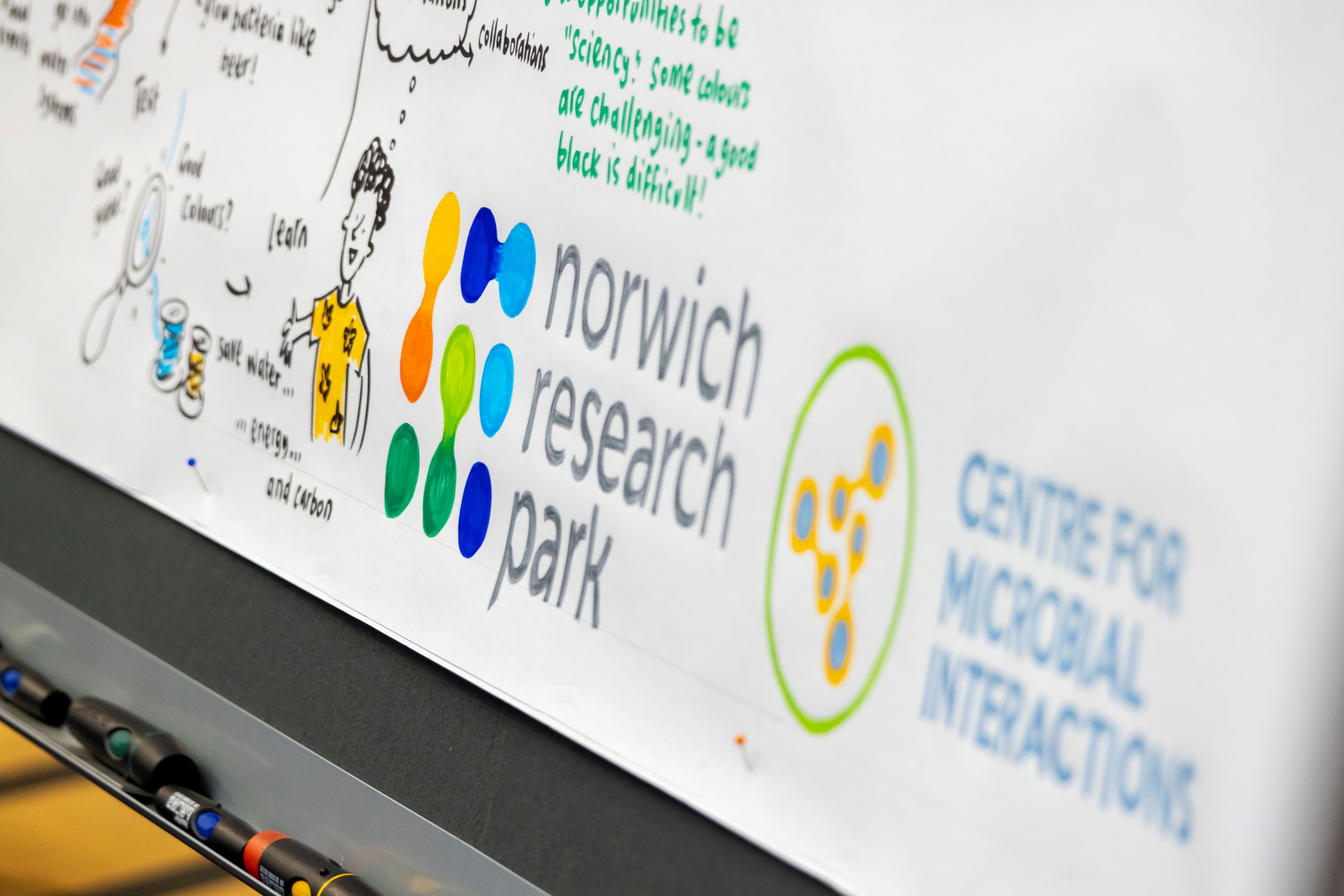 Drawings of the Norwich Research Park and Centre for Microbial Interactions logos