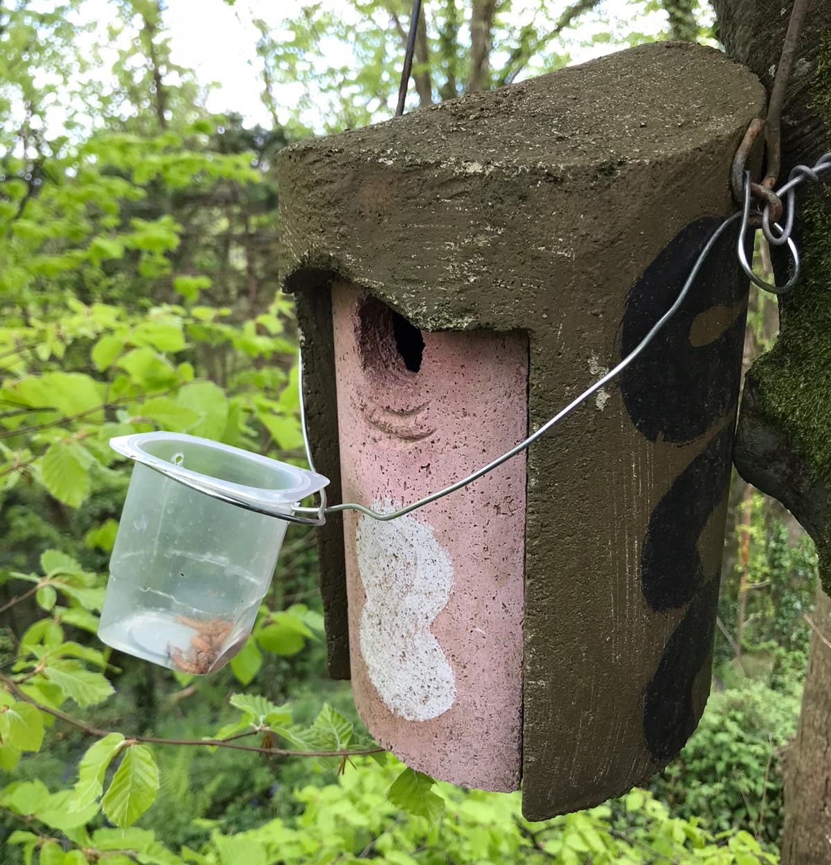 A brown and pink bird box attached to a tree with a small plastic feeding attachment