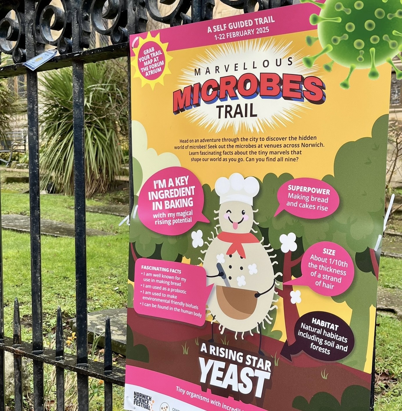 Marvellous Microbes outreach poster giving information about yeast