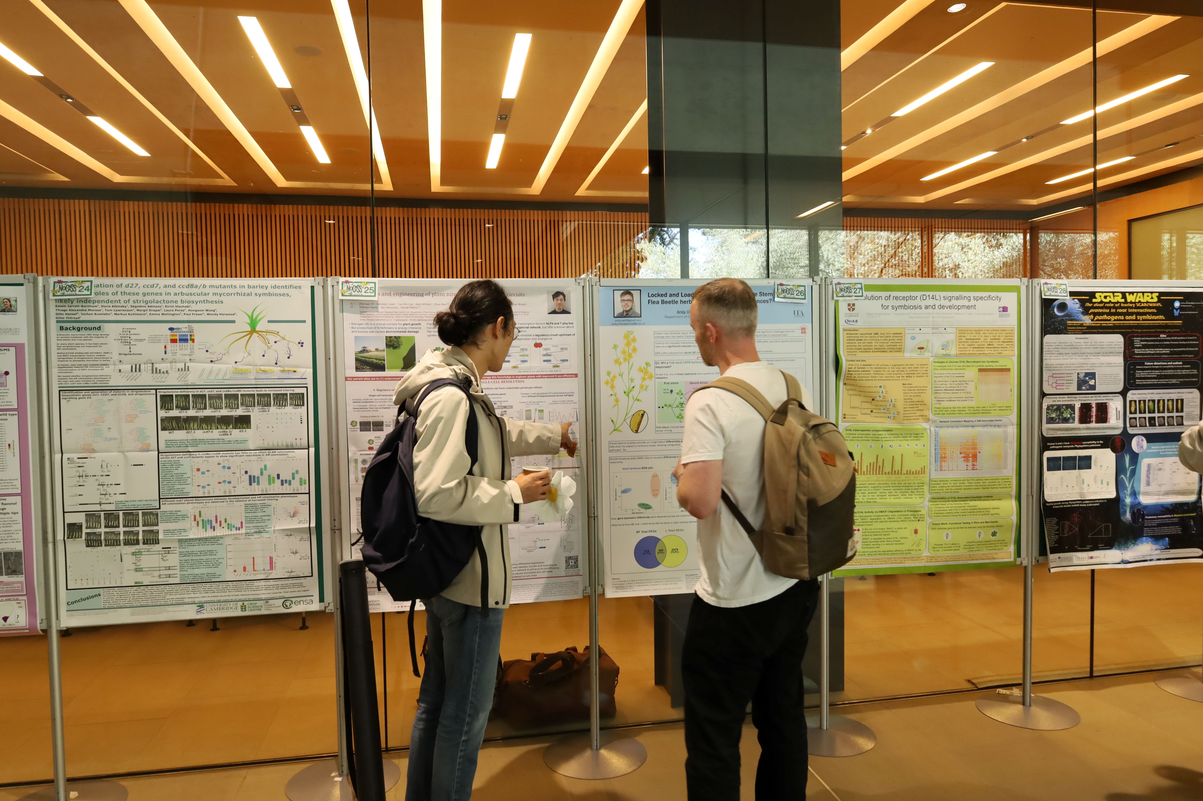 Two people in discussion in front of a row of scientific research posters.