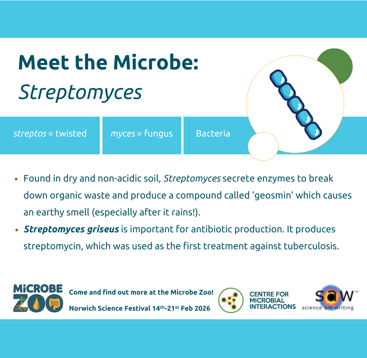 Fact sheet about Streptomyces