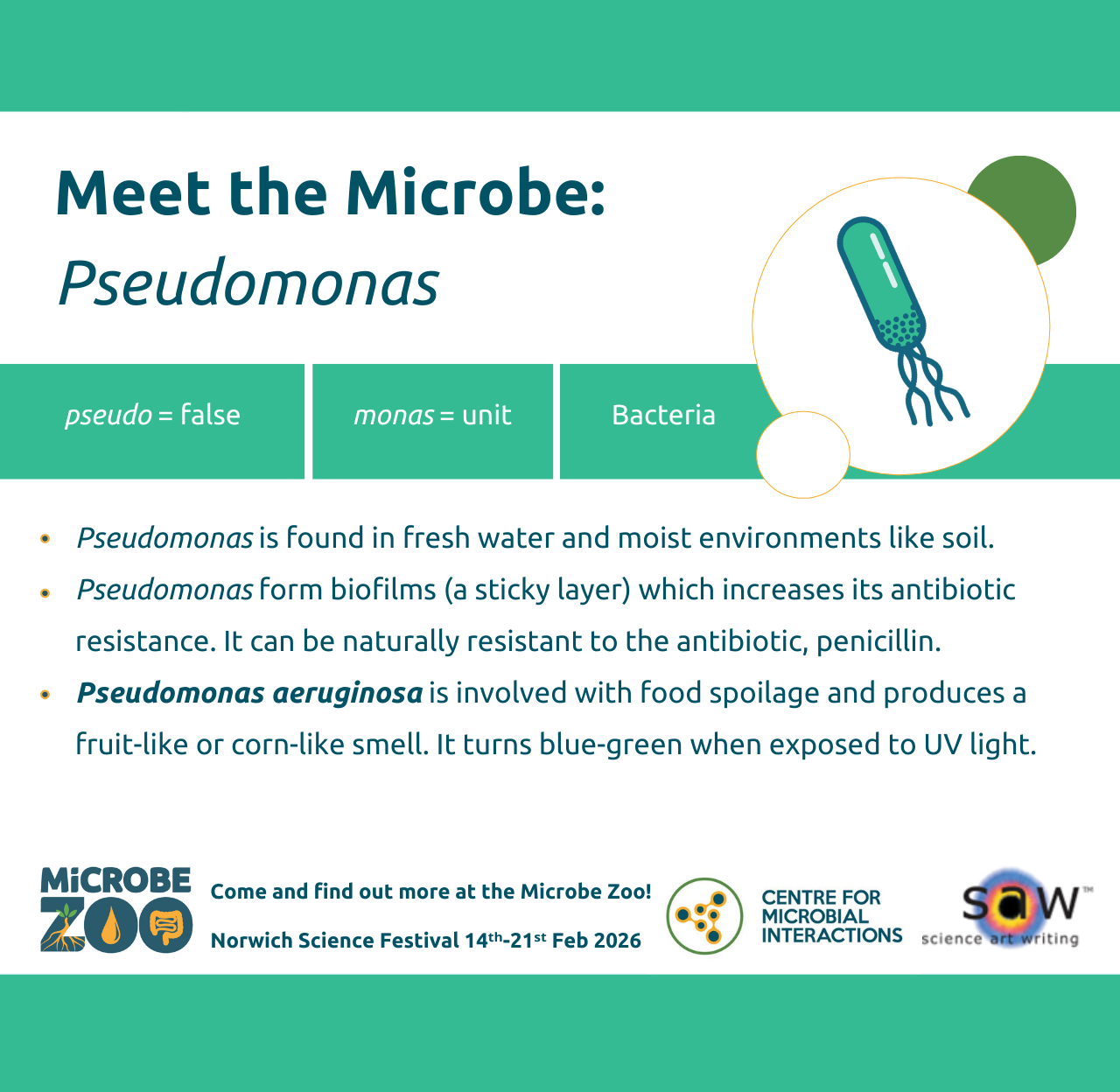 Fact sheet about Pseudomonas