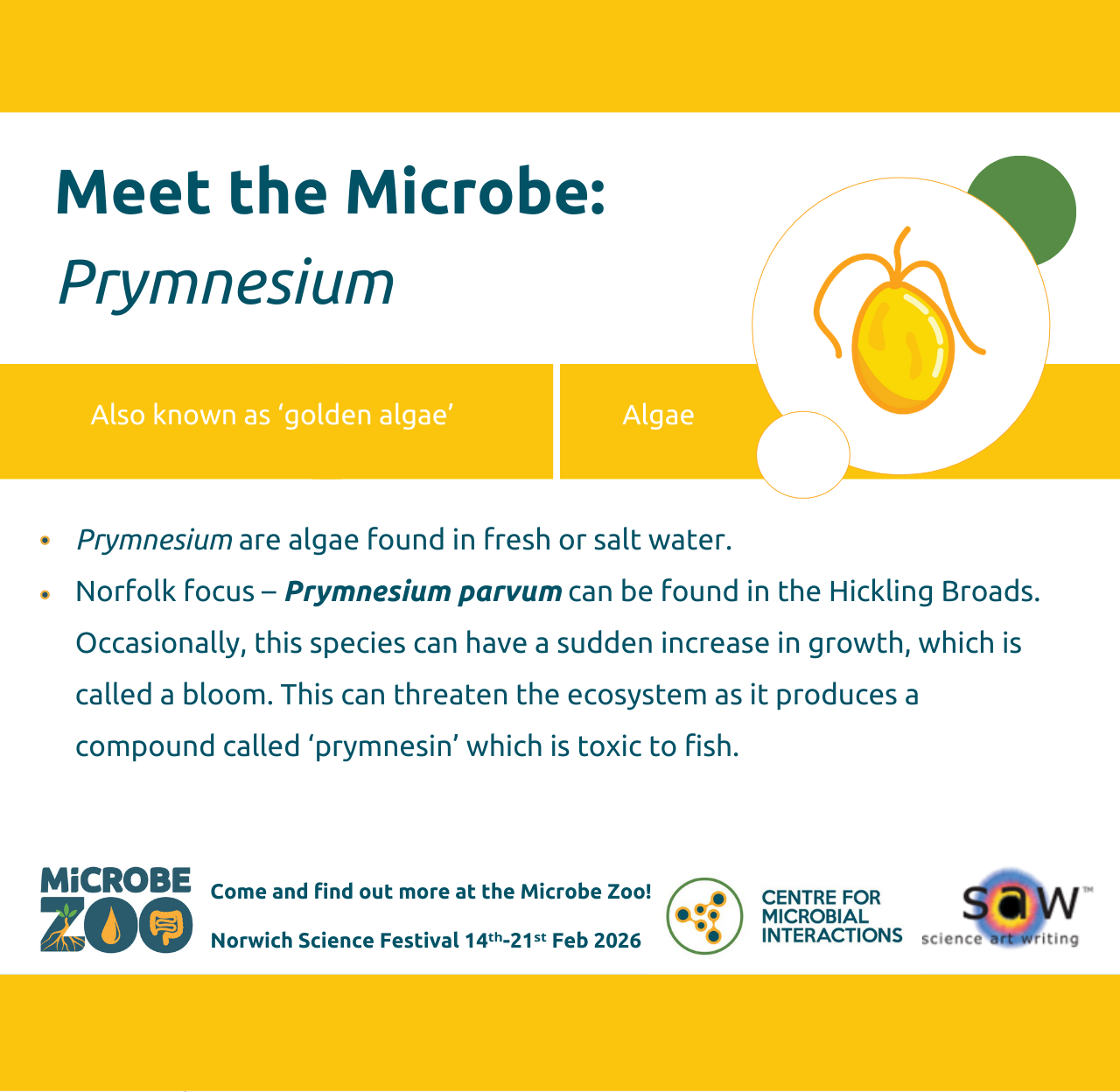 Fact sheet about Prymnesium