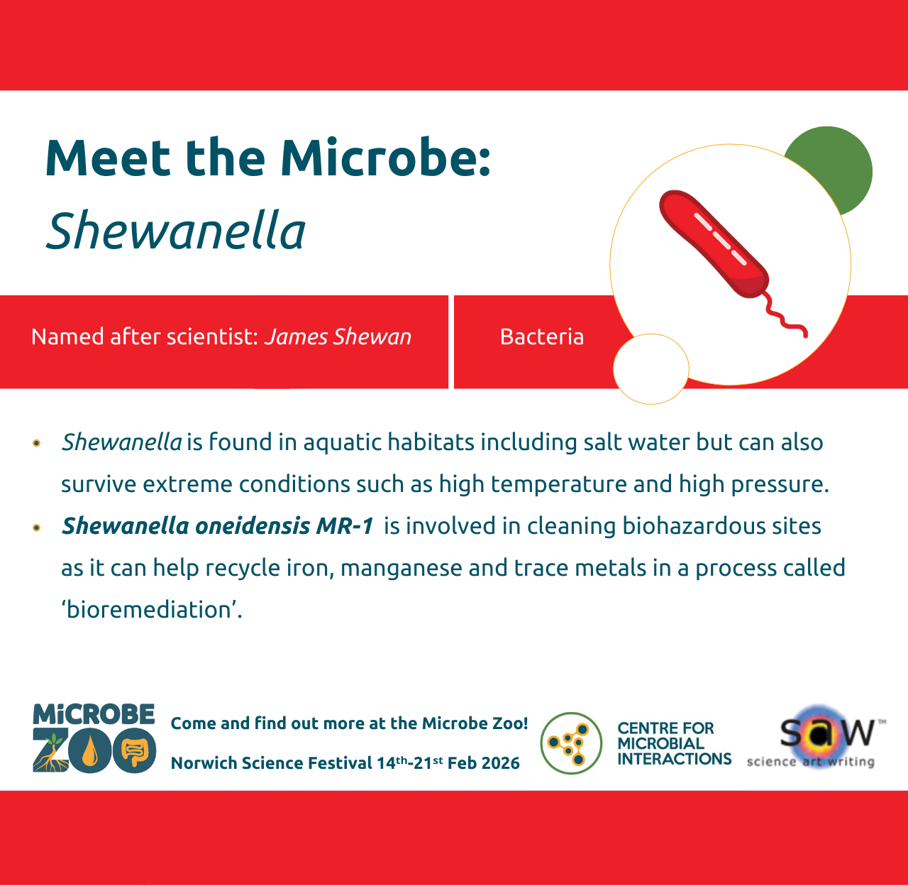 Fact sheet about Shewanella
