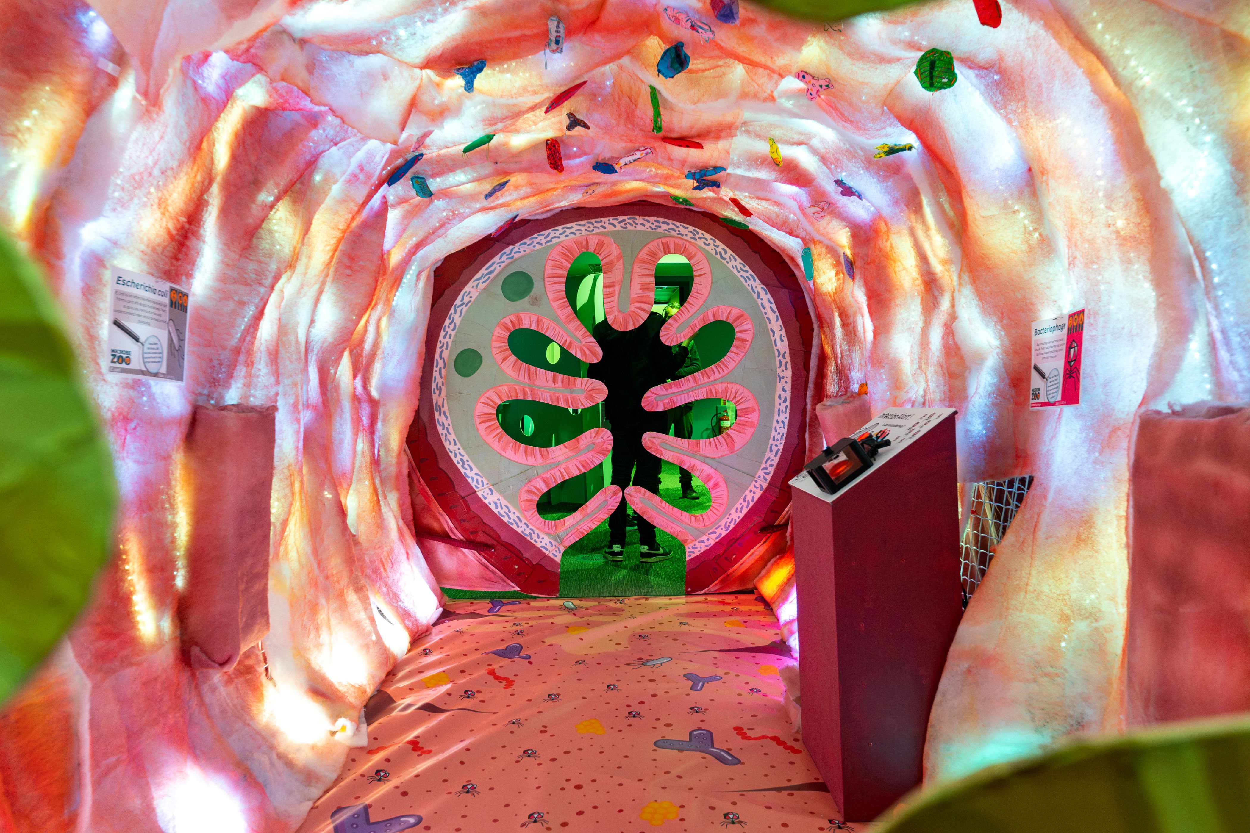 Inside view of the large interactive gut-themed tunnel as part of the Microbe Zoo exhibit.