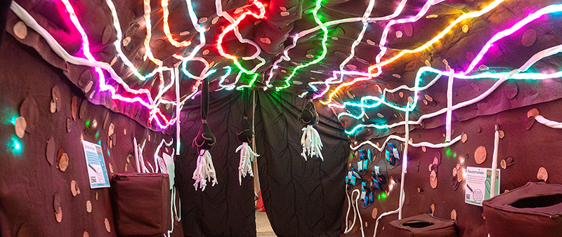A colourful tunnel representing microbes in the soil. Bright lights string across the ceiling and bacteria hang in front of doors at the end of the tunne