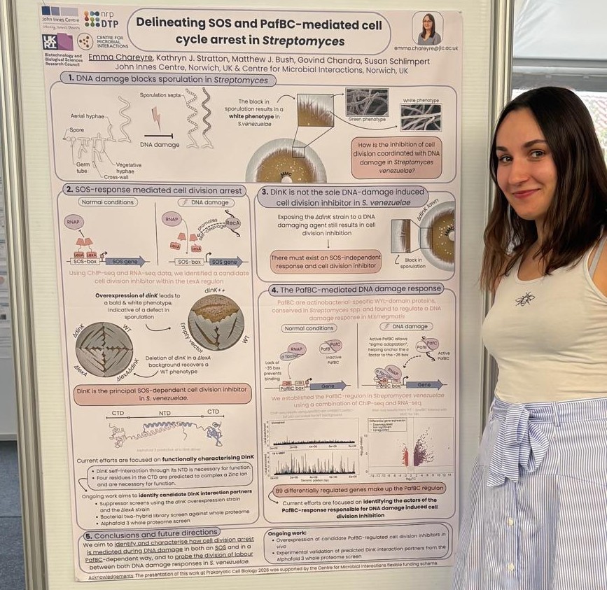 Emma Chareyre standing next to her research poster about Streptomyces.