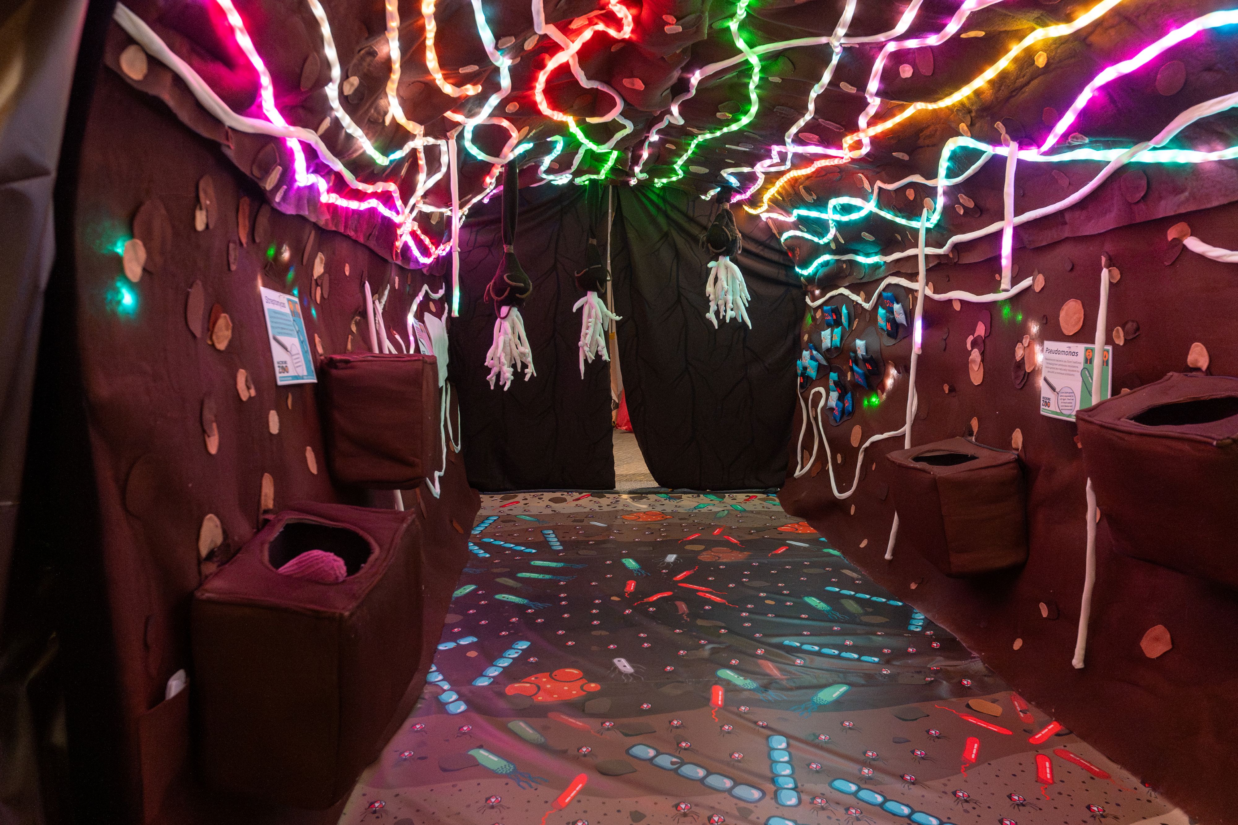 Microbe Zoo soil tunnel with brown walls and floors, multi-coloured roots along the ceiling, and a variety of large microbe graphics throughout