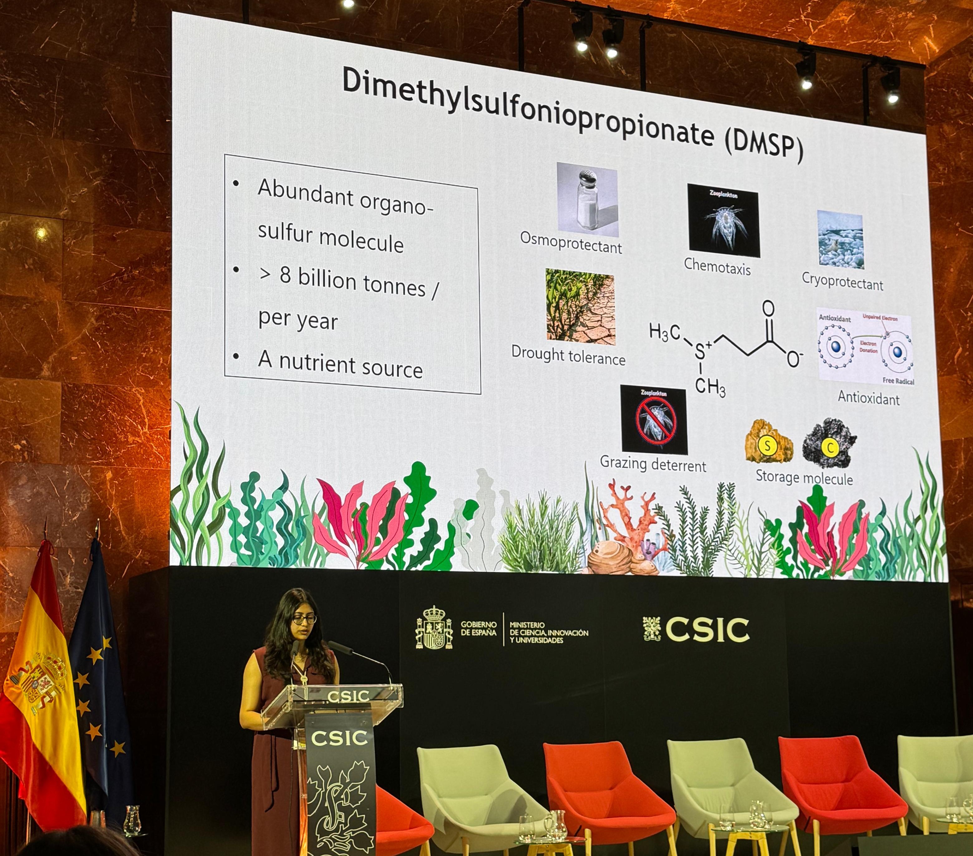Catherine Philips standing on a stage to present about her research from a large digital screen in the background